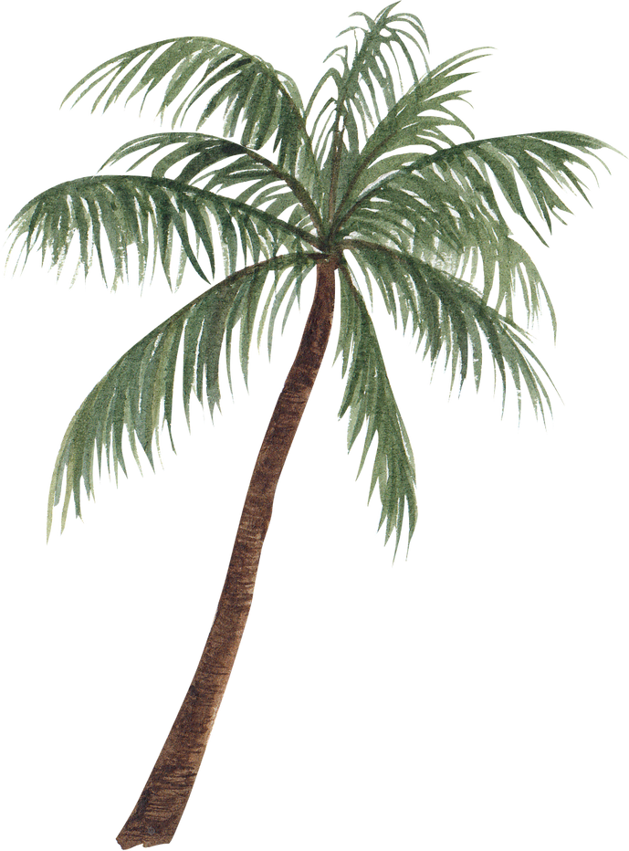 Watercolor Tropical Palm Tree